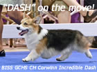 GCHS Corwinn Incredible Dash